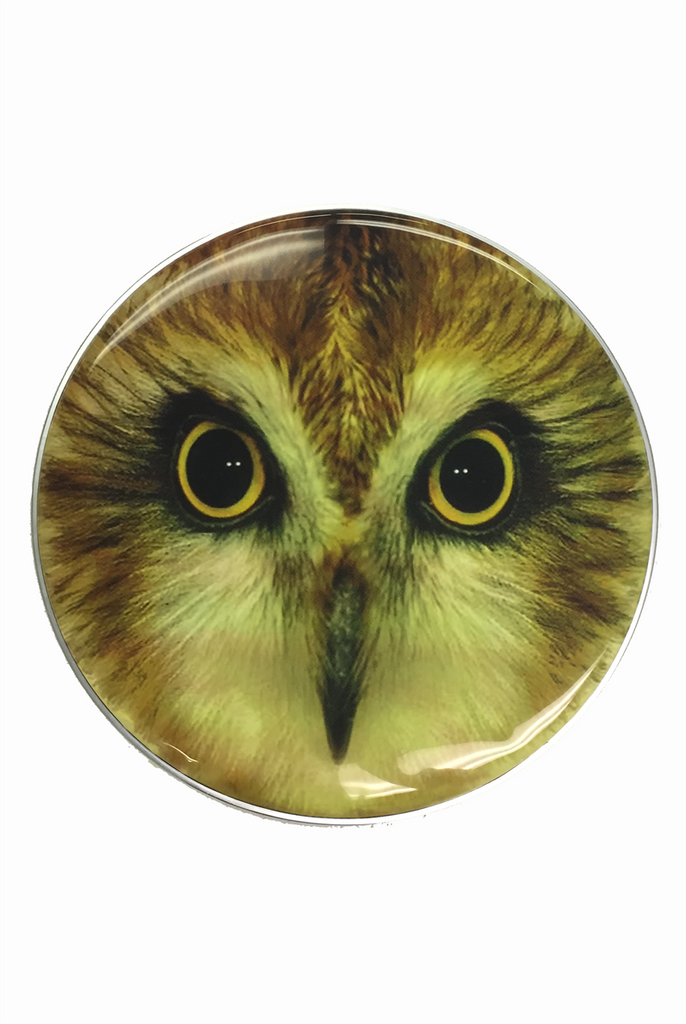 Hooting Owl Drum Head DPH22K-OWL Custom Graphic Owl Resonant Bass Drum - ccttek