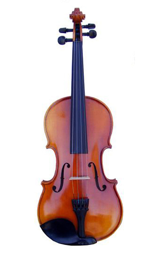 Full Size Apprentice VIAP44 Violin Ensemble - ccttek