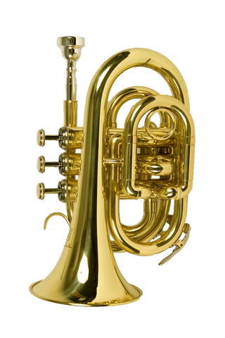 B - U.S.A. WTR-PK-LQ Pocket Trumpet Lacquer - Gold Color - ccttek